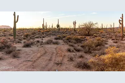 31409 N 166th Place, Scottsdale, AZ 85262 - Photo 51
