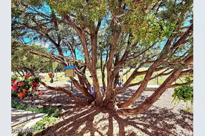 3 N3122 --, Vernon, AZ 85940 - Photo 9