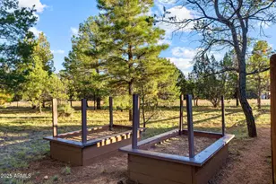 2758 Jaguar Cir, Overgaard, AZ 85933 - Photo 35