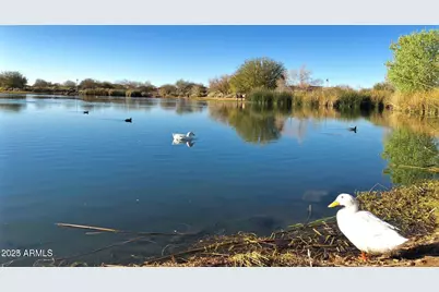 4390 S White Drive, Chandler, AZ 85249 - Photo 63