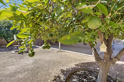 26003 S Cedarcrest Drive, Sun Lakes, AZ 85248 - Photo 51