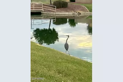 16343 S 178th Drive, Goodyear, AZ 85338 - Photo 93