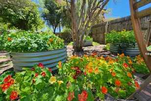 1113 W Glenrosa Ave, Phoenix, AZ 85013 - Photo 21