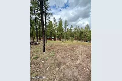 7 Eric Lane #28, Alpine, AZ 85920 - Photo 9