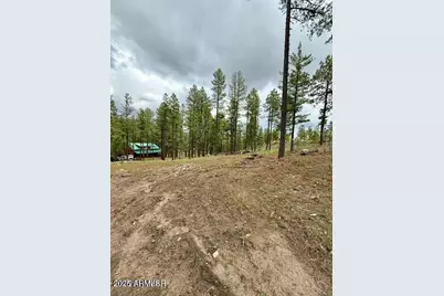 7 Eric Lane #28, Alpine, AZ 85920 - Photo 7