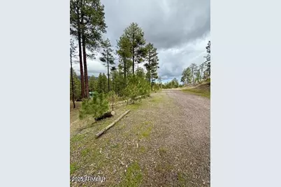 7 Eric Lane #28, Alpine, AZ 85920 - Photo 3