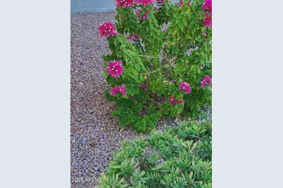 17132 E Hillcrest Drive, Fountain Hills, AZ 85268 - Photo 23