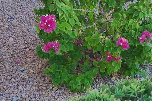 17132 E Hillcrest Dr, Fountain Hills, AZ 85268 - Photo 23