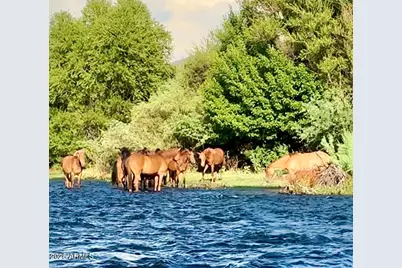 22433 E Cattle Drive, Queen Creek, AZ 85142 - Photo 57