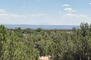 61 County Rd N6379, Saint Johns, AZ 85936 - Photo 31