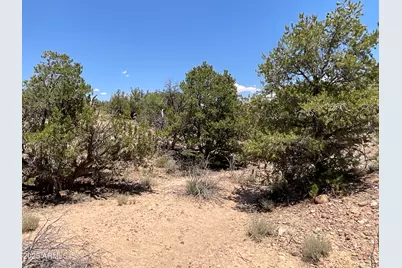 61 County Road N6379 --, Saint Johns, AZ 85936 - Photo 29