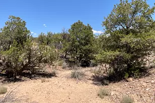 61 County Rd N6379, Saint Johns, AZ 85936 - Photo 29