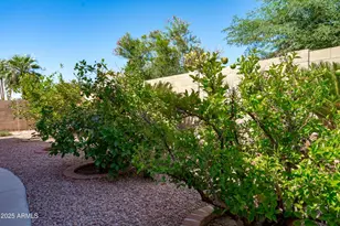 11250 E Prairie Ave, Mesa, AZ 85212 - Photo 39