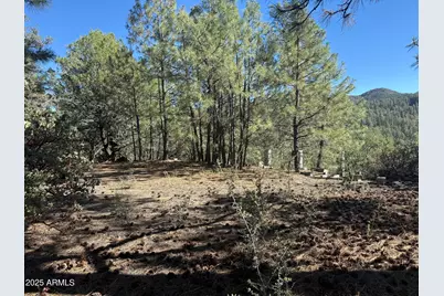 6536 E 90 and 9 Road #-, Crown King, AZ 86343 - Photo 5