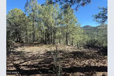 6536 E 90 and 9 Road #-, Crown King, AZ 86343 - Photo 1