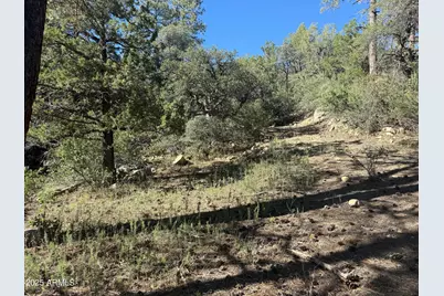 6536 E 90 and 9 Road #-, Crown King, AZ 86343 - Photo 7