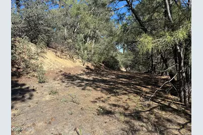 6536 E 90 and 9 Road #-, Crown King, AZ 86343 - Photo 13