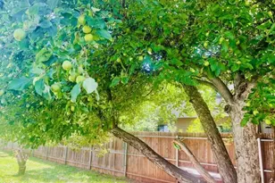 1310 S Stephens Dr, Pinetop, AZ 85935 - Photo 7