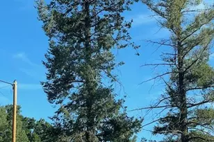 1310 S Stephens Dr, Pinetop, AZ 85935 - Photo 29