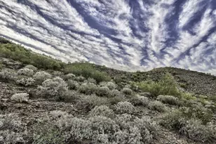 2703 E Friess Dr, Phoenix, AZ 85032 - Photo 1