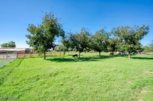 18950 E Via De Palmas, Queen Creek, AZ 85142 - Photo 19