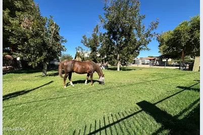 18950 E Via De Palmas --, Queen Creek, AZ 85142 - Photo 1