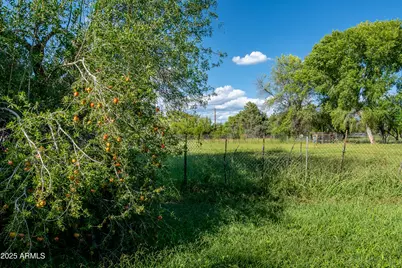10885 E Pear Tree Drive, Cornville, AZ 86325 - Photo 9