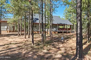 5124 Strawberry Ln, Happy Jack, AZ 86024 - Photo 41