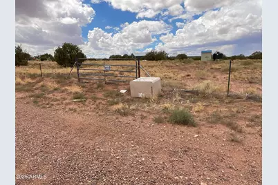 Lot 4 Ranch Of The White Mountains -- #4, Concho, AZ 85924 - Photo 5