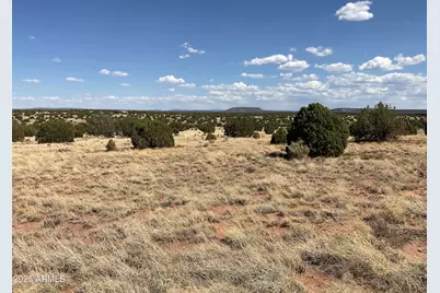 Lot 4 Ranch Of The White Mountains -- #4, Concho, AZ 85924 - Photo 7