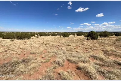 Lot 4 Ranch Of The White Mountains -- #4, Concho, AZ 85924 - Photo 3
