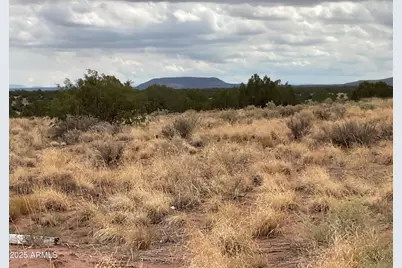 Lot 4 Ranch Of The White Mountains -- #4, Concho, AZ 85924 - Photo 1