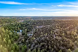 2262 Meadow Trail, Overgaard, AZ 85933 - Photo 99