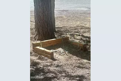 3122 S Briarwood Lane, Pinetop, AZ 85935 - Photo 45