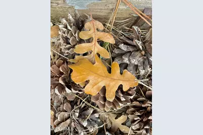 3122 S Briarwood Lane, Pinetop, AZ 85935 - Photo 61