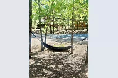 3122 S Briarwood Lane, Pinetop, AZ 85935 - Photo 47