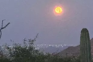 42035 N 113th Way, Scottsdale, AZ 85262 - Photo 83