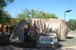 3935 E Rough Rider Rd, Phoenix, AZ 85050 - Photo 23