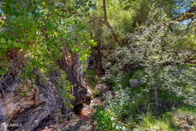 9955 E Maggie Lane, Cornville, AZ 86325 - Photo 7
