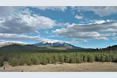 0 Forest Road 193 --, Flagstaff, AZ 86001 - Photo 3