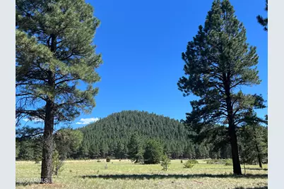 0 Forest Road 193 Street, Flagstaff, AZ 86001 - Photo 5