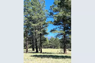 0 Forest Road 193 Street, Flagstaff, AZ 86001 - Photo 1