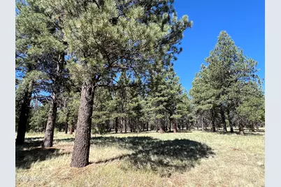 0 Forest Road 193 Street, Flagstaff, AZ 86001 - Photo 7