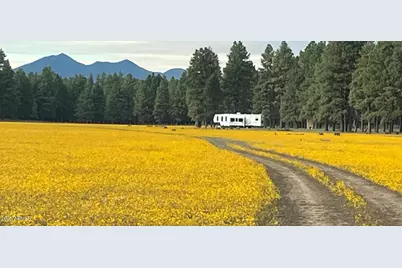 Xxxxx E Newman Park Rd -- #2, Flagstaff, AZ 86005 - Photo 3