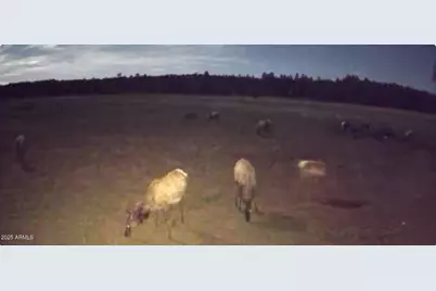 Xxxxx E Newman Park Rd -- #2, Flagstaff, AZ 86005 - Photo 7