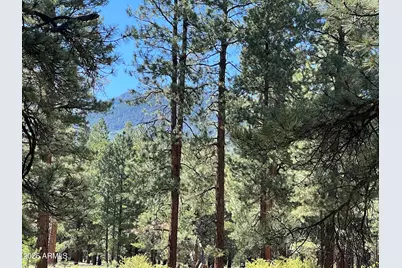 0 Forest Road 193 Street, Flagstaff, AZ 86001 - Photo 1