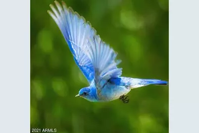 5666 W Dnp Test Listing Street #29, Tempe, AZ 85284 - Photo 3