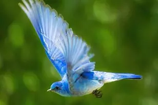 5666 W Dnp Test Listing St, Tempe, AZ 85284 - Photo 3