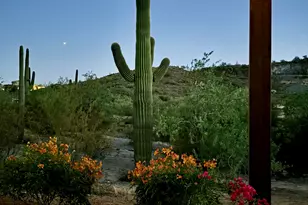 28635 N Tame Ln, Queen Creek, AZ 85144 - Photo 29