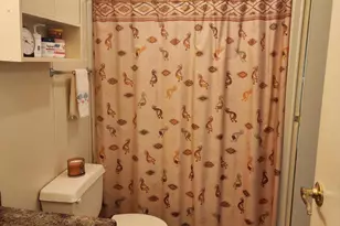 3809 N Ohio Ave, Florence, AZ 85132 - Photo 43